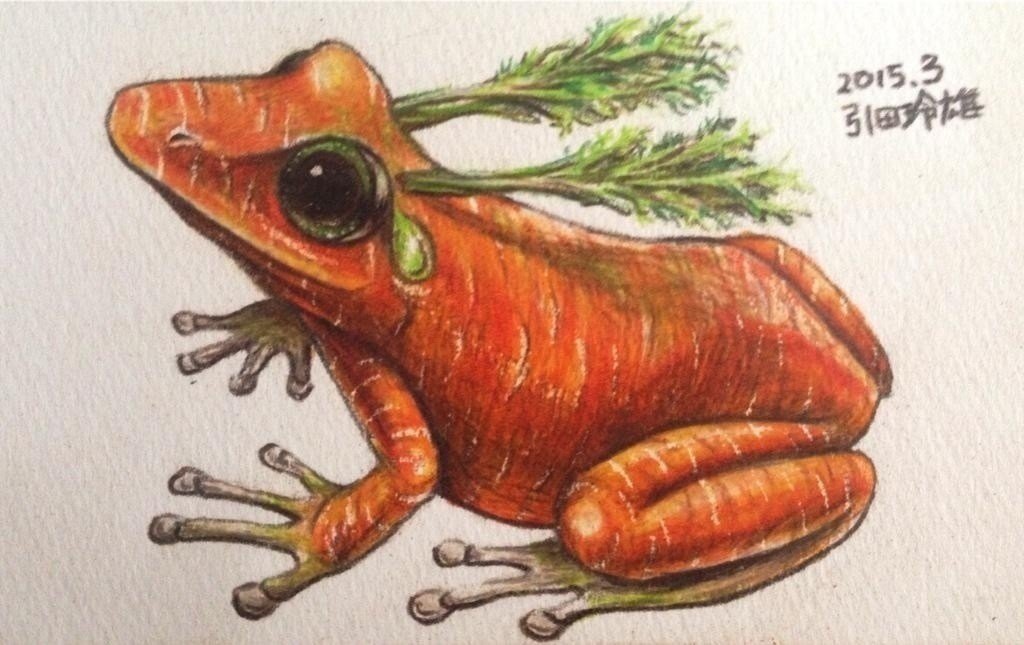 カエルメイトより キャロッグ 引田玲雄 Reo Hikita Note