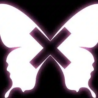 x-butterfly