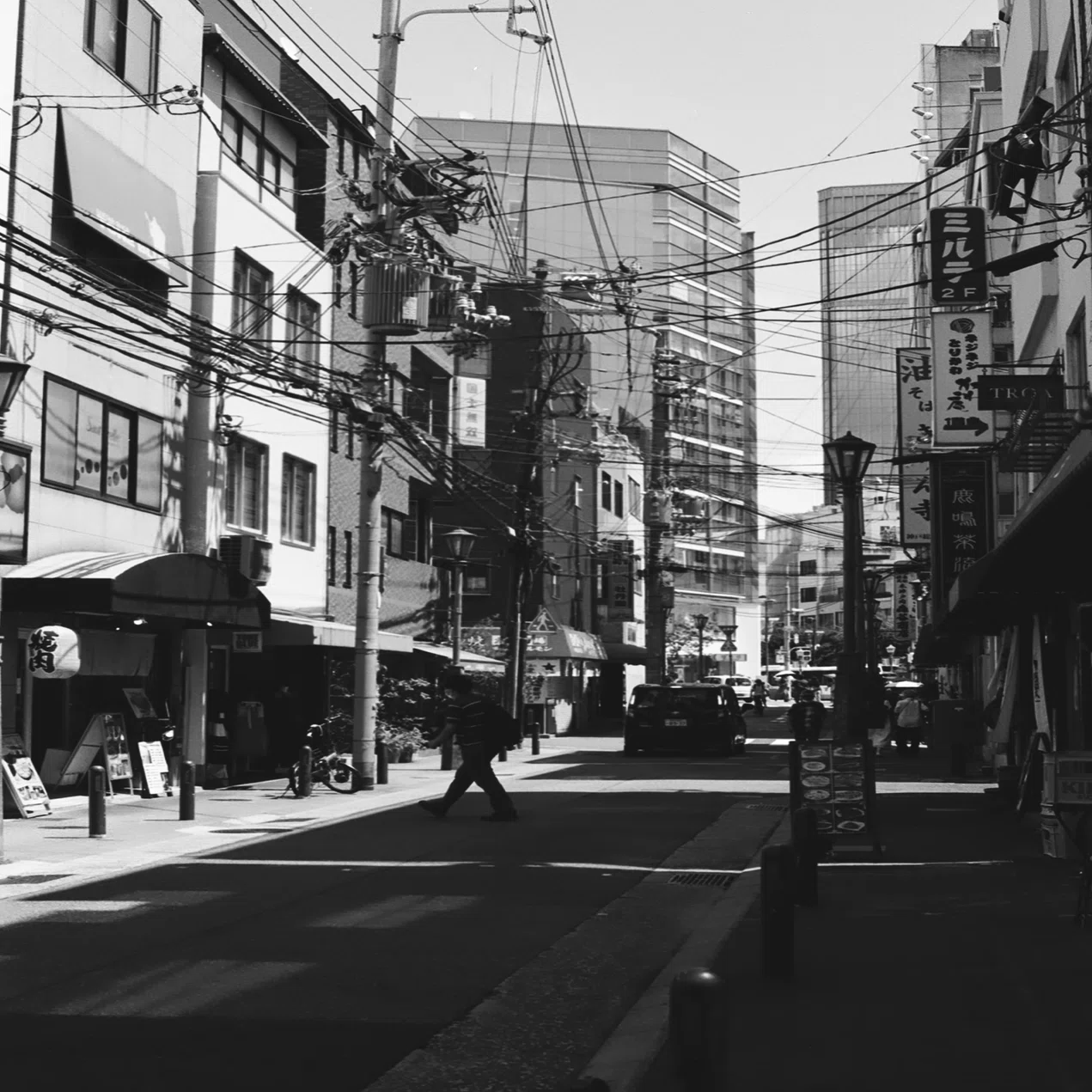 2024年10本目 Kodak T-MAX 400｜Shogo Hagiwara