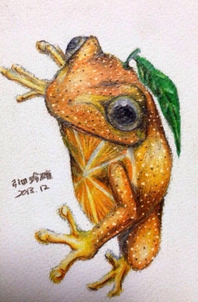 カエルメイトより オレンジガエル 引田玲雄 Reo Hikita Note カエルメイトより オレンジガエル 引田玲雄 Reo Hikita Note