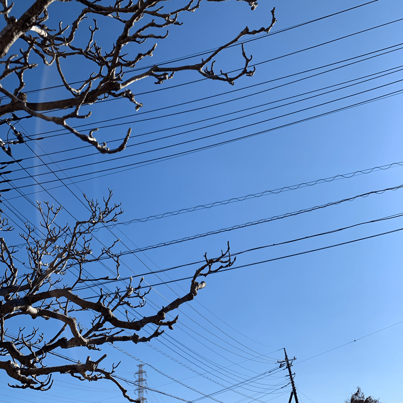 19年12月の読書記録 さなごん Note 19年12月の読書記録 さなごん Note