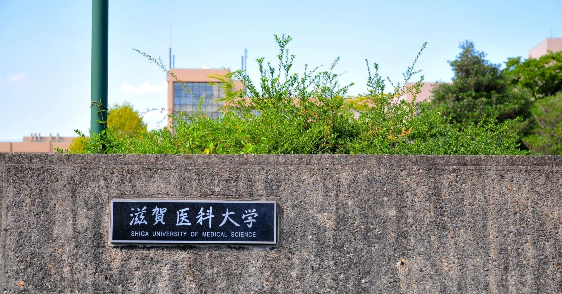 滋賀医科大学の過去の傾向とあと1週間でできること｜掛谷拓也