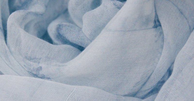 薄さ格別 ユニクロやプラステ のカシミヤ ストールについて全力で忖度なく語る 最速でオシャレになる道をゆるゆる歩く方法 Nazy 毎日ショートショート Note