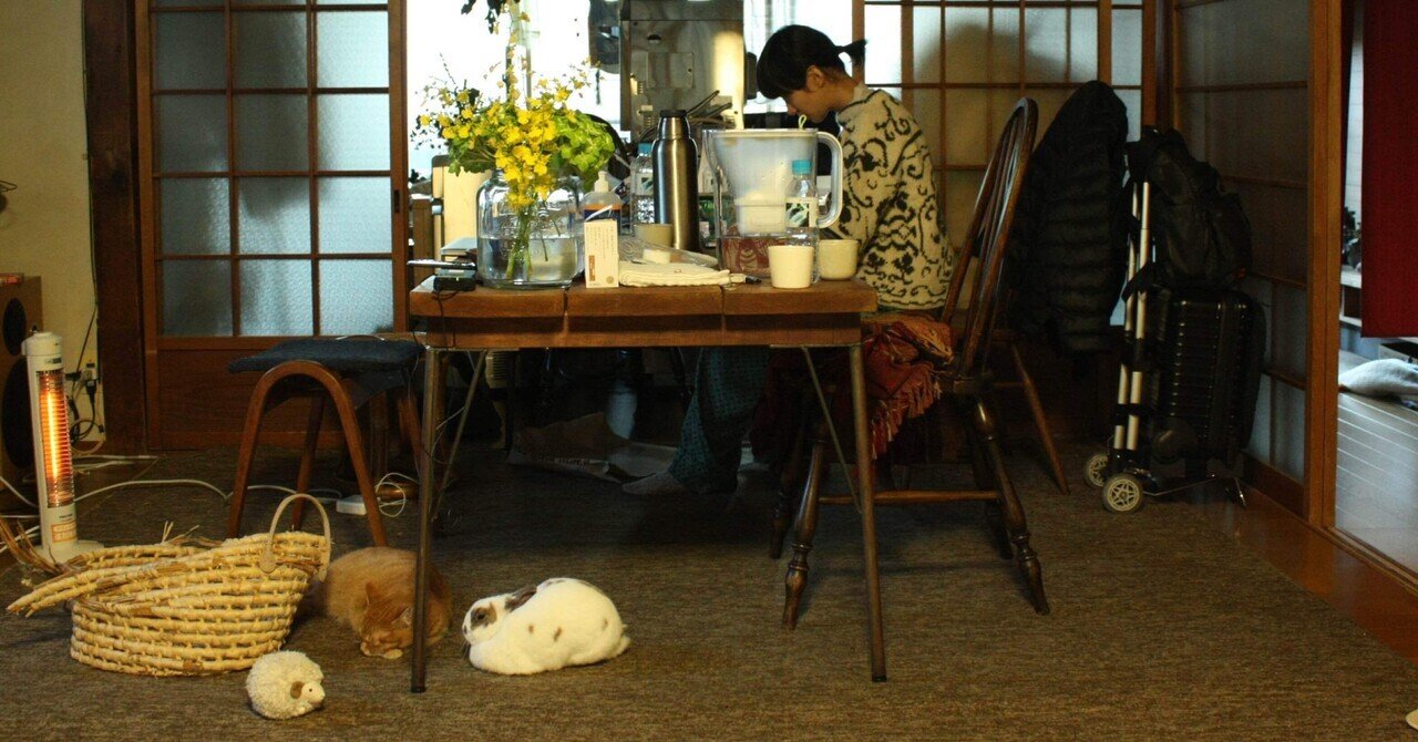 感覚の変化は人にも猫にも。｜Poetic Mica Drops（ポエティック