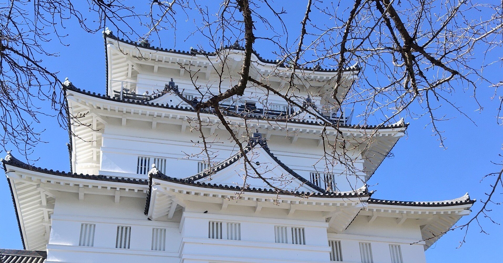 2024年度】スタンプを押しに小田原に行って、新宿でカレーを食べた話