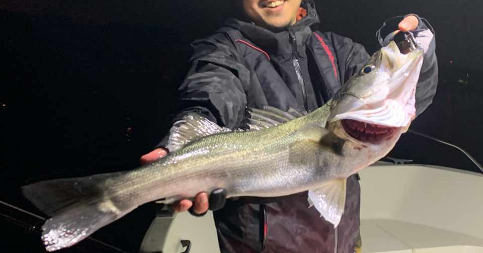 1月2日 木 シーバスナイト便釣果 Bayworkstokyofishing Note