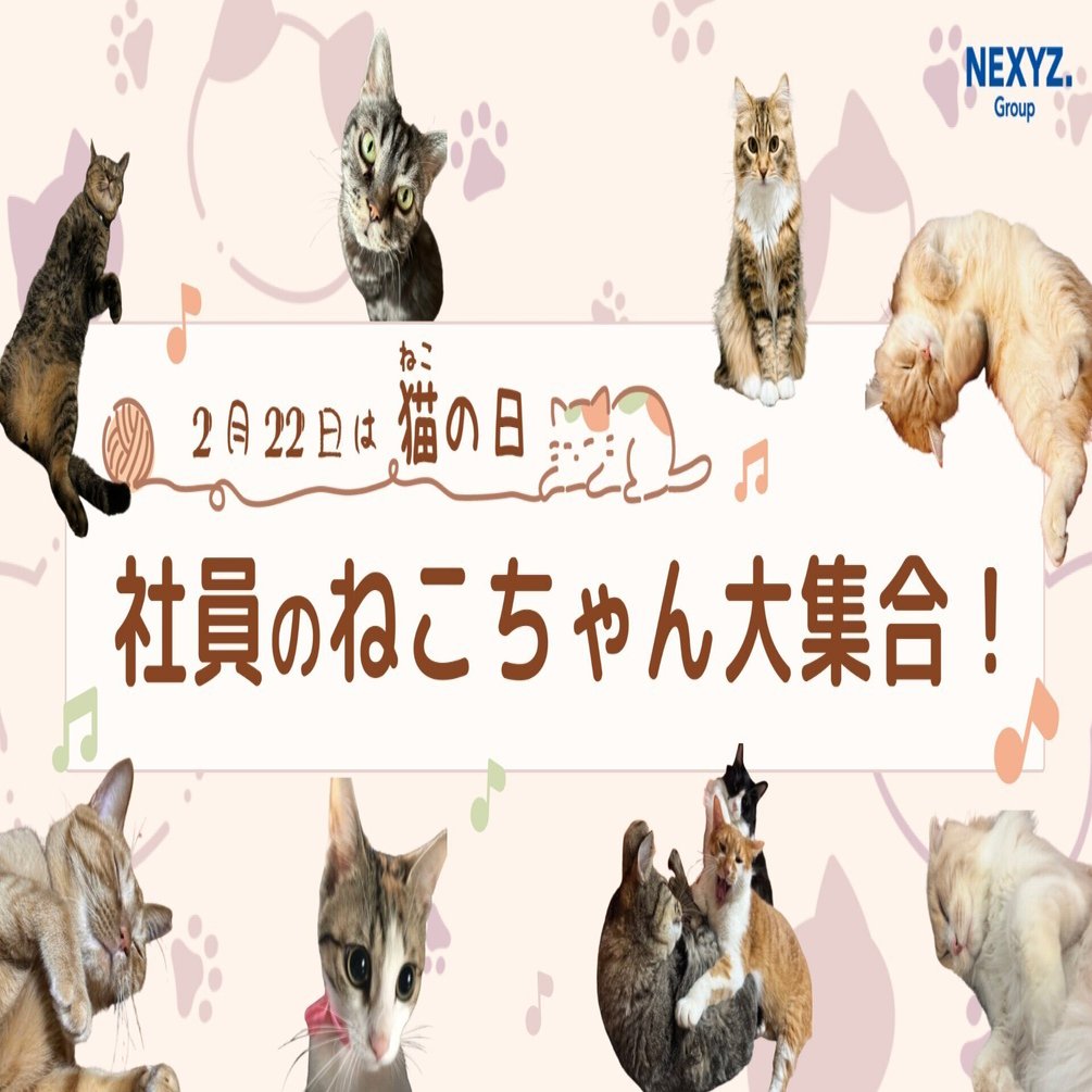 📅 猫の日特別企画🐱 もふもふ12選！社員のねこちゃん大集合