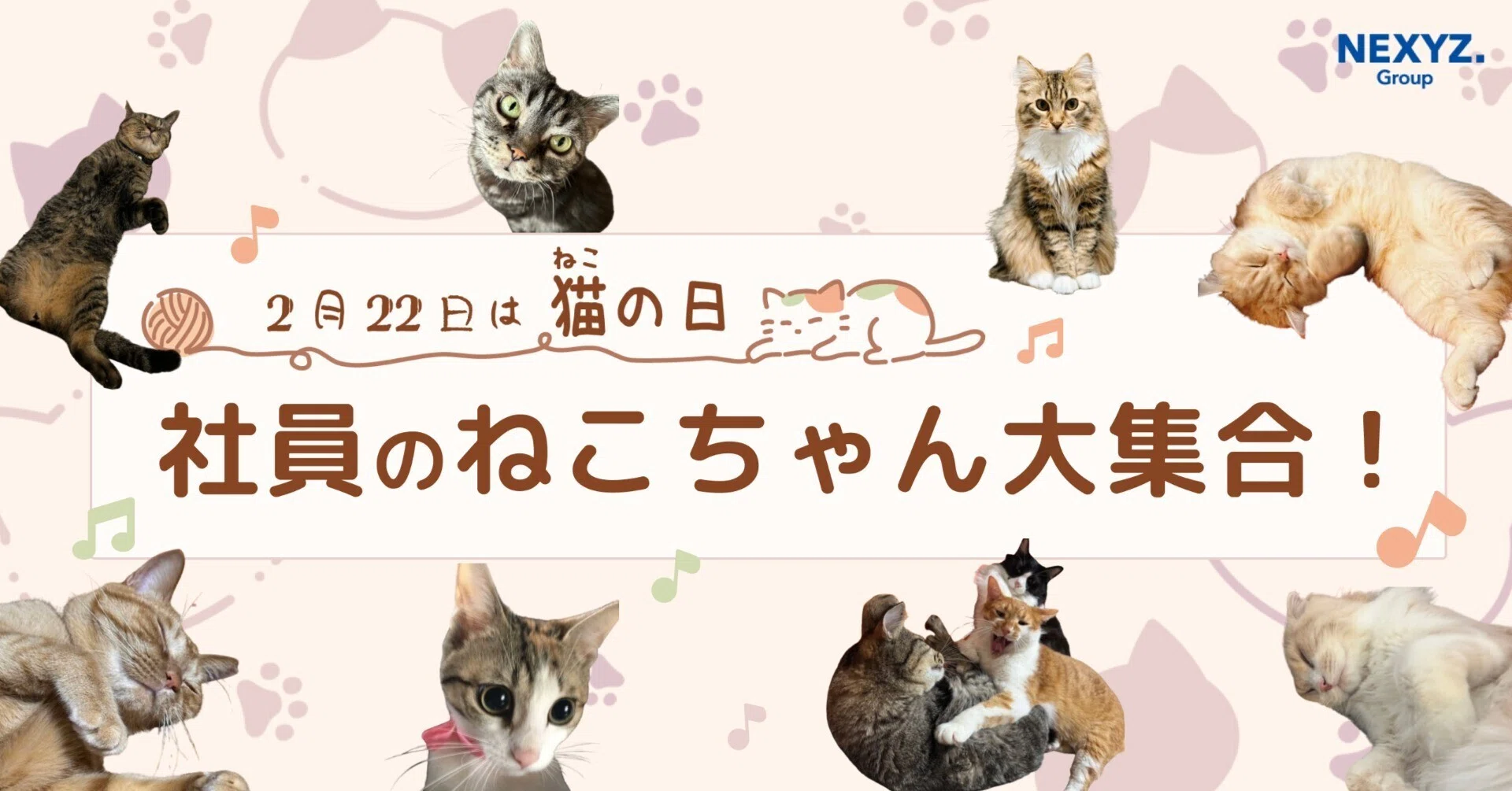📅 猫の日特別企画🐱 もふもふ12選!社員のねこちゃん大集合💕|東証 📅 猫の日特別企画🐱 もふもふ12選!社員のねこちゃん大集合💕|東証