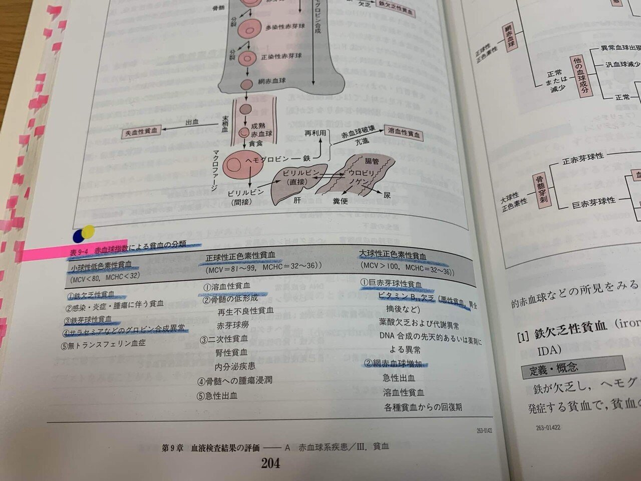 臨床検査技師国家試験対策①｜riri