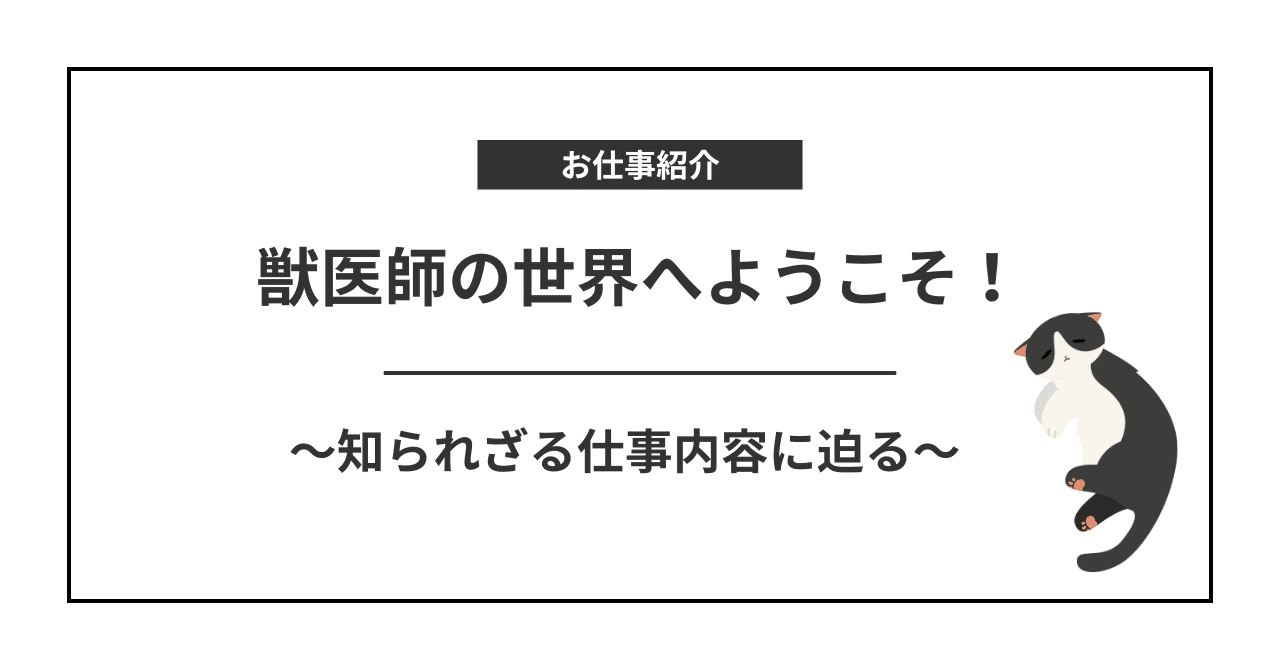 獣医師の世界へようこそ！～知られざる仕事内容に迫る～【お仕事紹介
