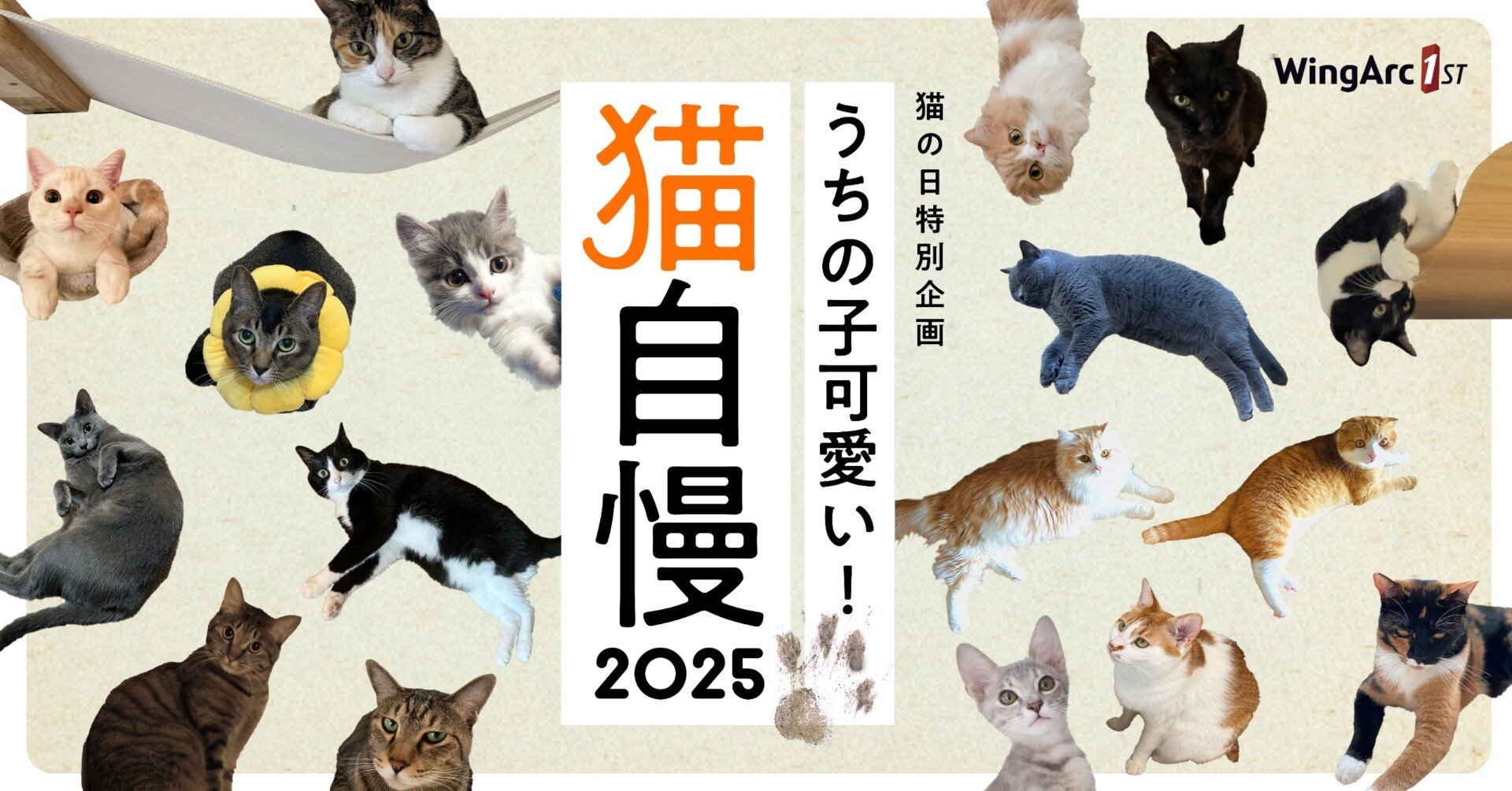 猫の日特別企画 うちの子可愛い！猫自慢2025｜ウイングアーク1st