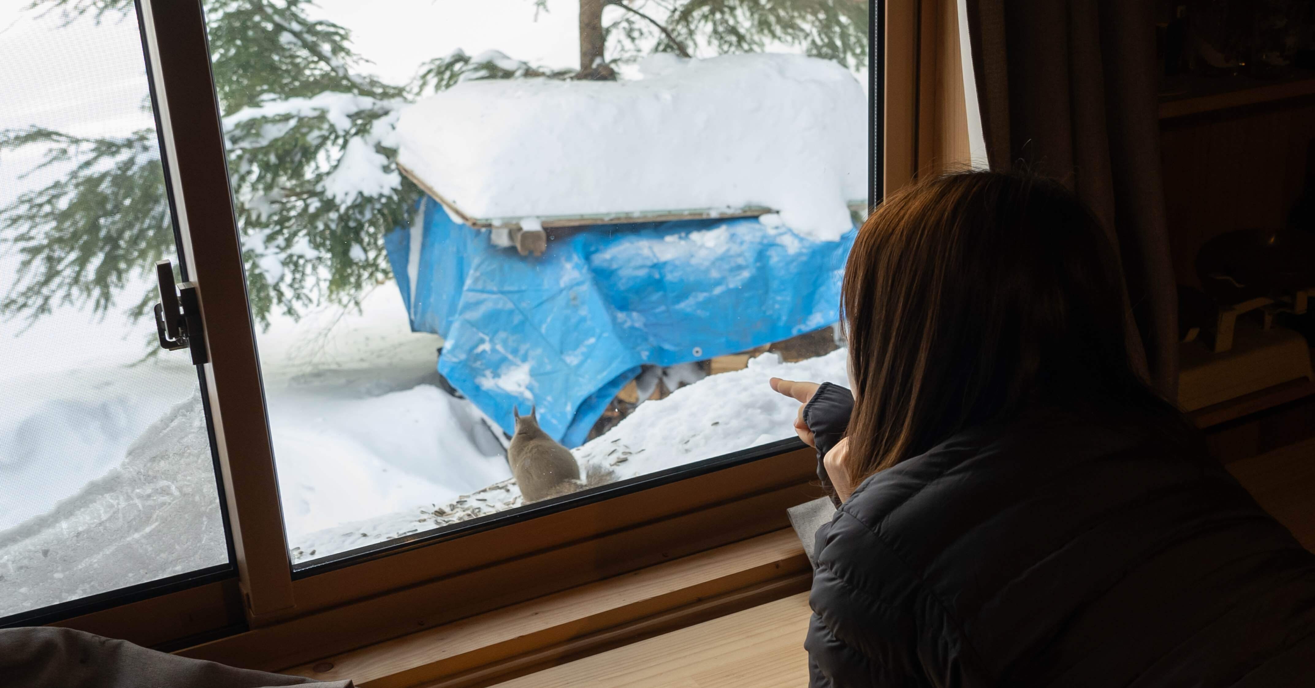 初の雪山登山！『しらびそ小屋』に行ってきた：後編｜Yuka Shogaki