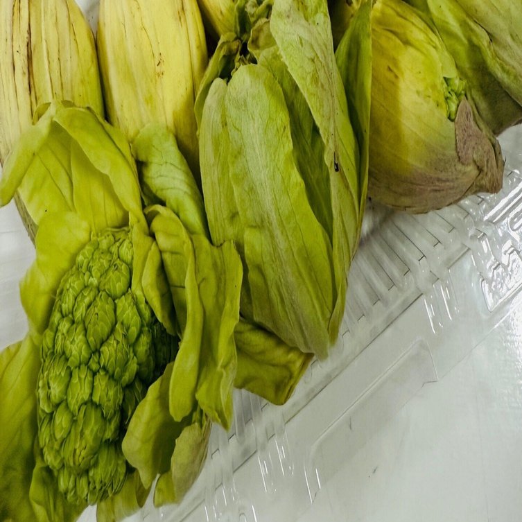 SAPIXの理科 (小4) デイリーサピックス430-01｜そよみんの中学受験