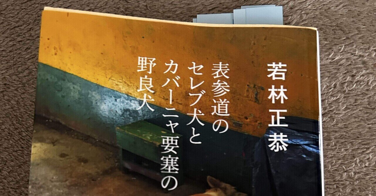 表参道のセレブ犬とカバーニャ要塞の野良犬」の人気タグ記事一覧
