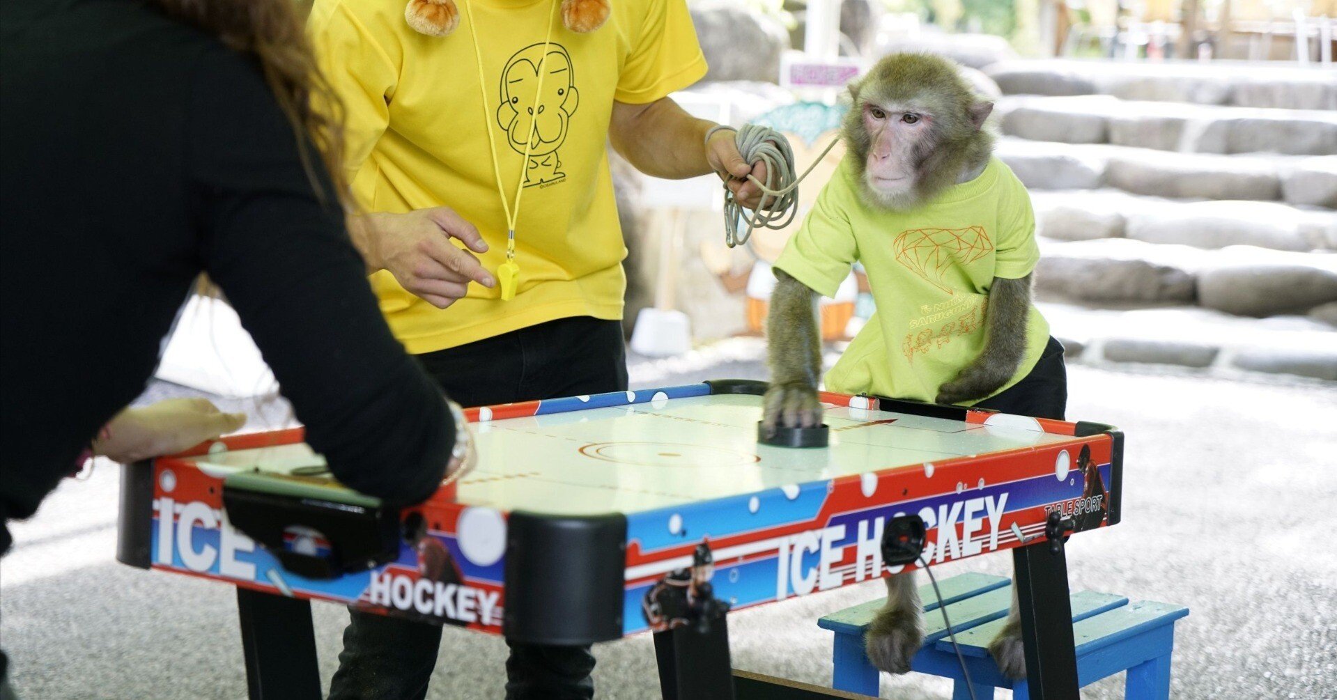 dd2b2de1769bb9fb36ca7c86e52473