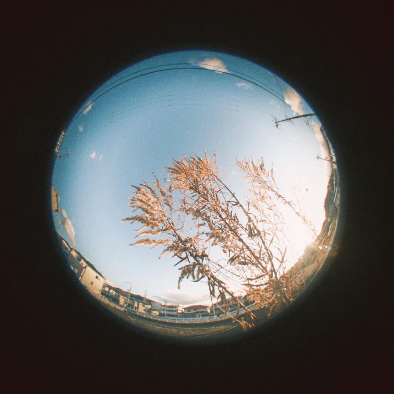 X100Ⅵ× Kenko FISH-EYE 180°｜きりまれ