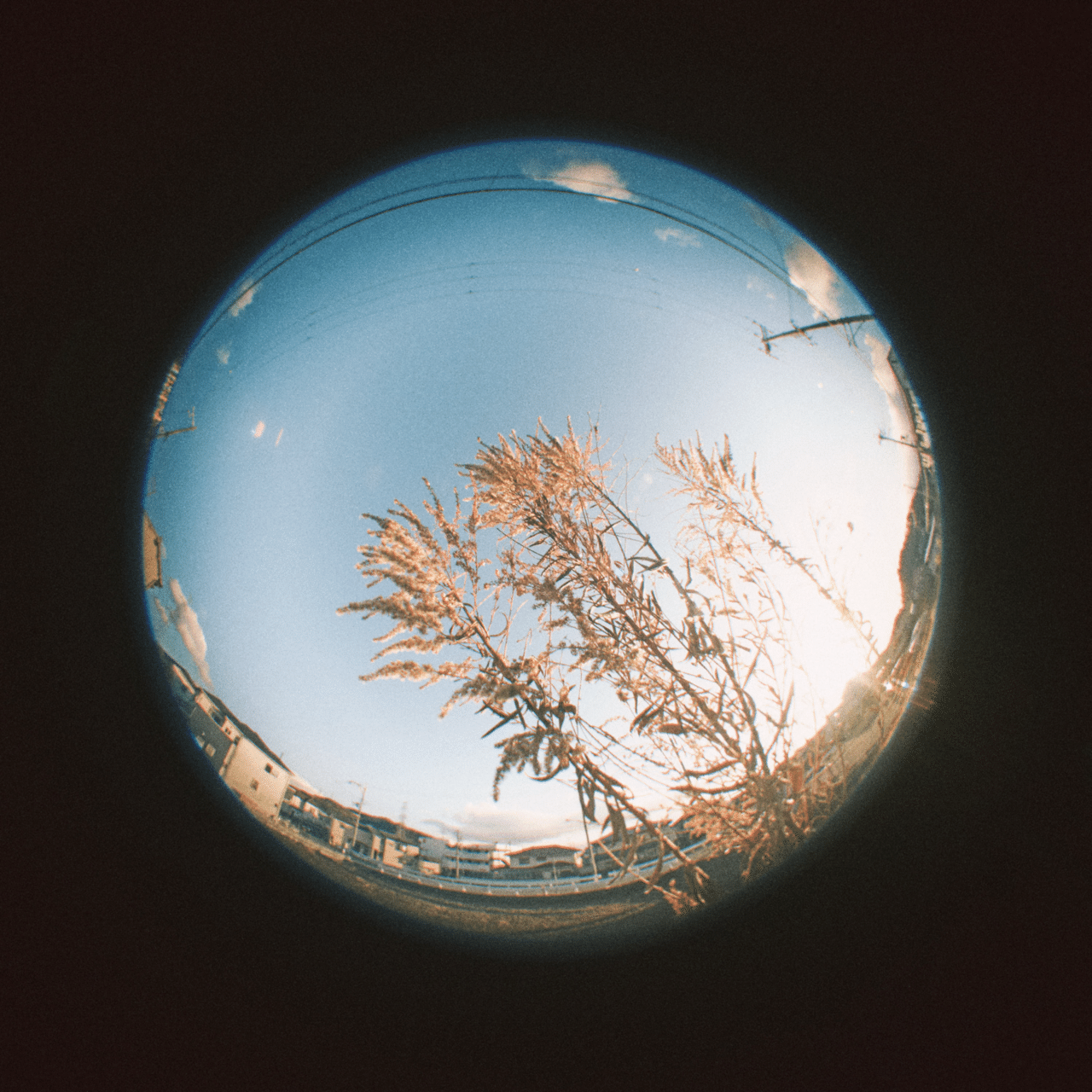 X100Ⅵ× Kenko FISH-EYE 180°｜きりまれ