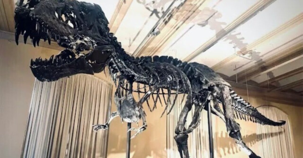 🇩🇪ベルリンおススメ|恐竜に会える自然史博物館🦖|ユキの秘密 🇩🇪ベルリンおススメ|恐竜に会える自然史博物館🦖|ユキの秘密