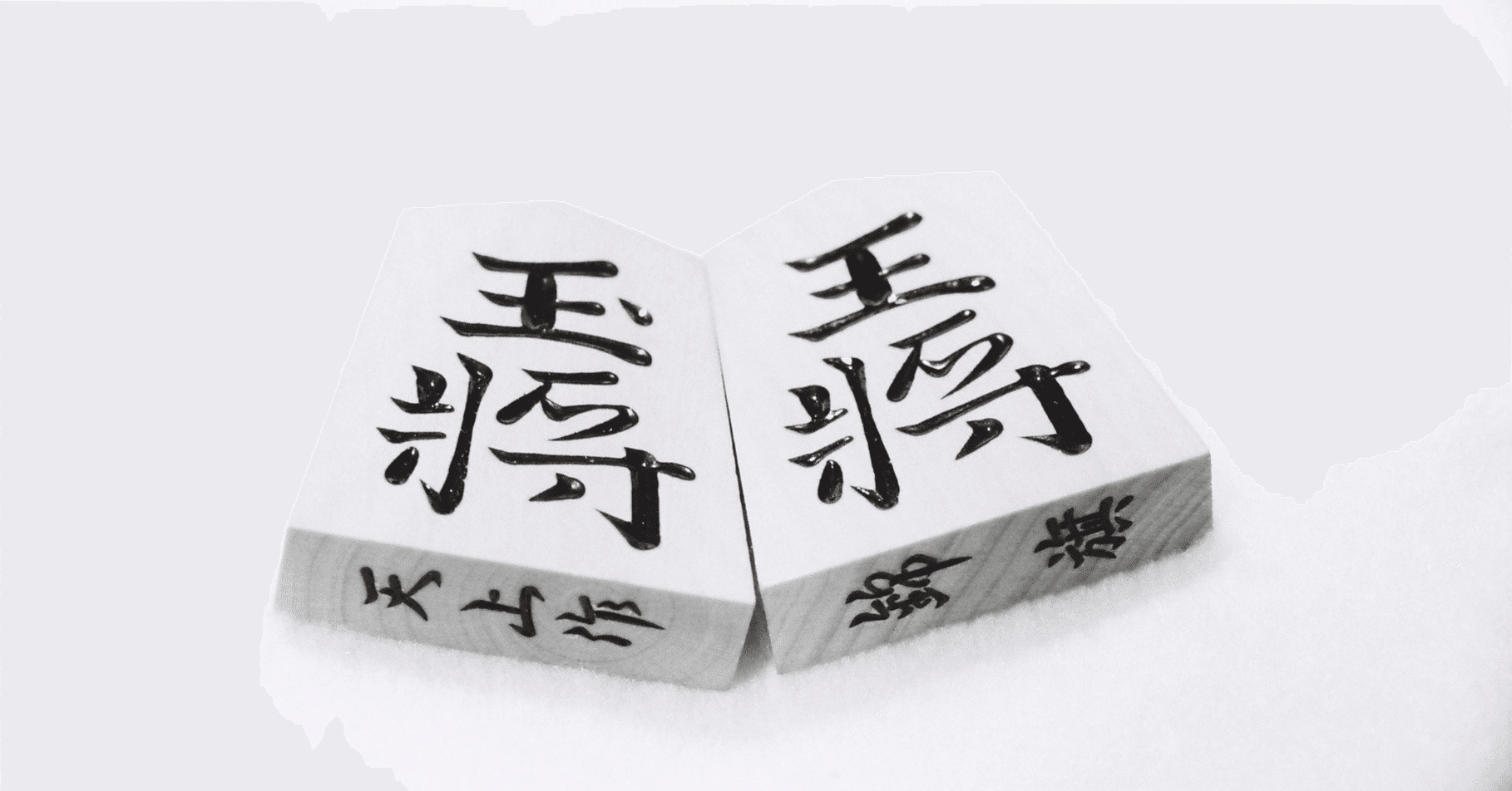 将棋 棋書まとめ売り 居飛車党本格派向け かい出し