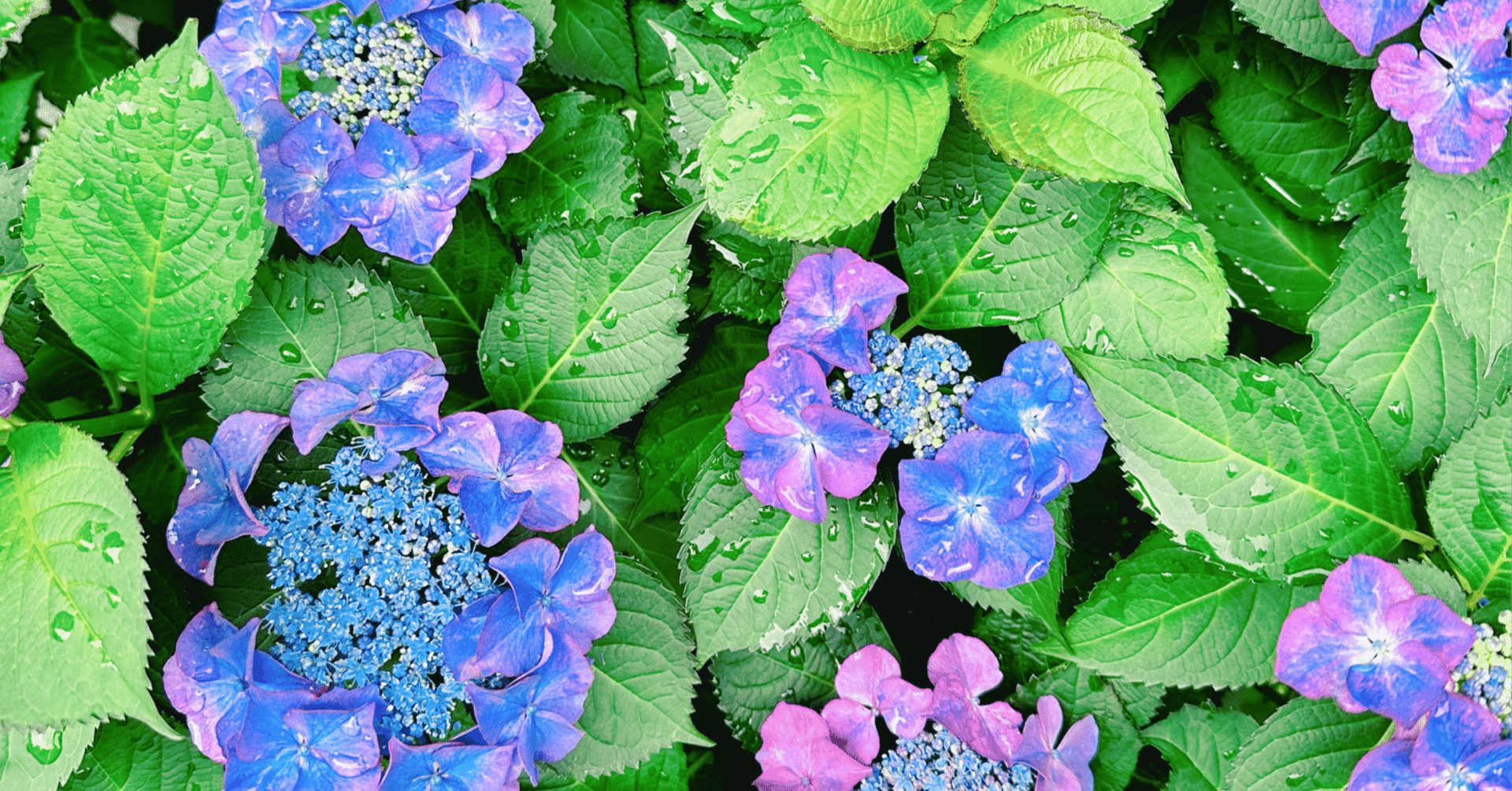 日本にもちゃんと将来を憂える若者がいます〜不安な個人、立ちすくむ国家｜ずん＠工学博士｜毎日５時台から走ってます＠仙台