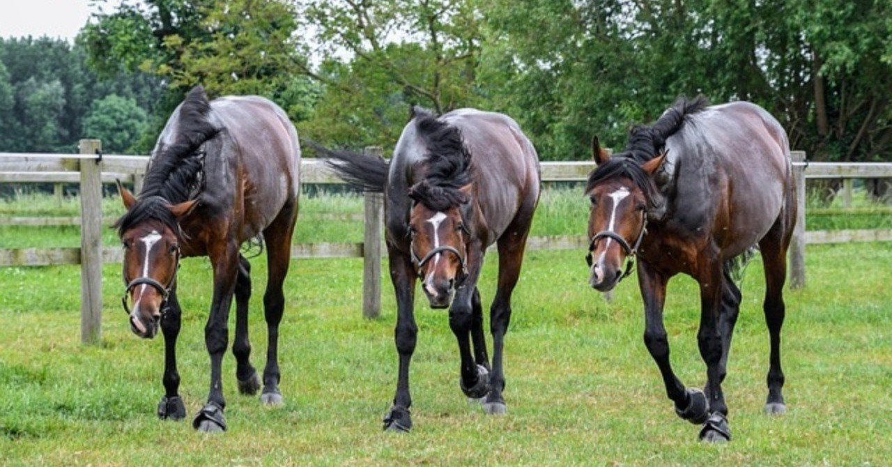 今年から種牡馬生活を始める馬で ボス性が光るのはどの馬だ 一口馬主マスターb Note