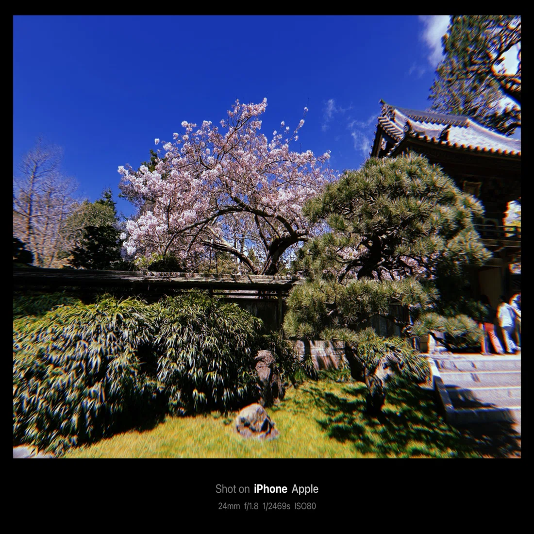 The Gardens of Japan　Geoffrey Holme　日本庭園 Japanese Tea Garden / 日本茶園(San Francisco, USA)｜N.Hagimoto