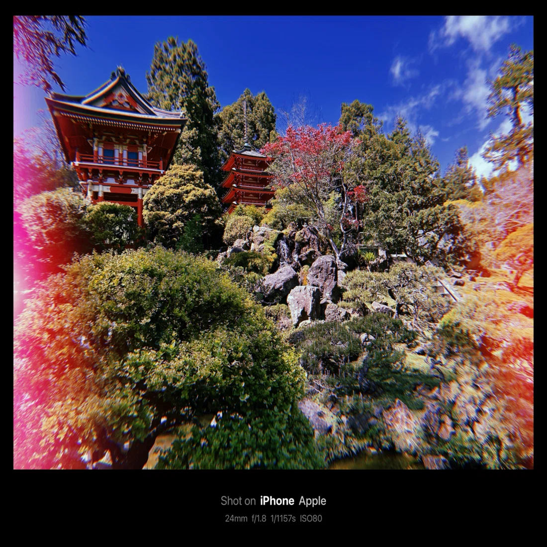 Japanese Tea Garden / 日本茶園(San Francisco, USA)｜N.Hagimoto