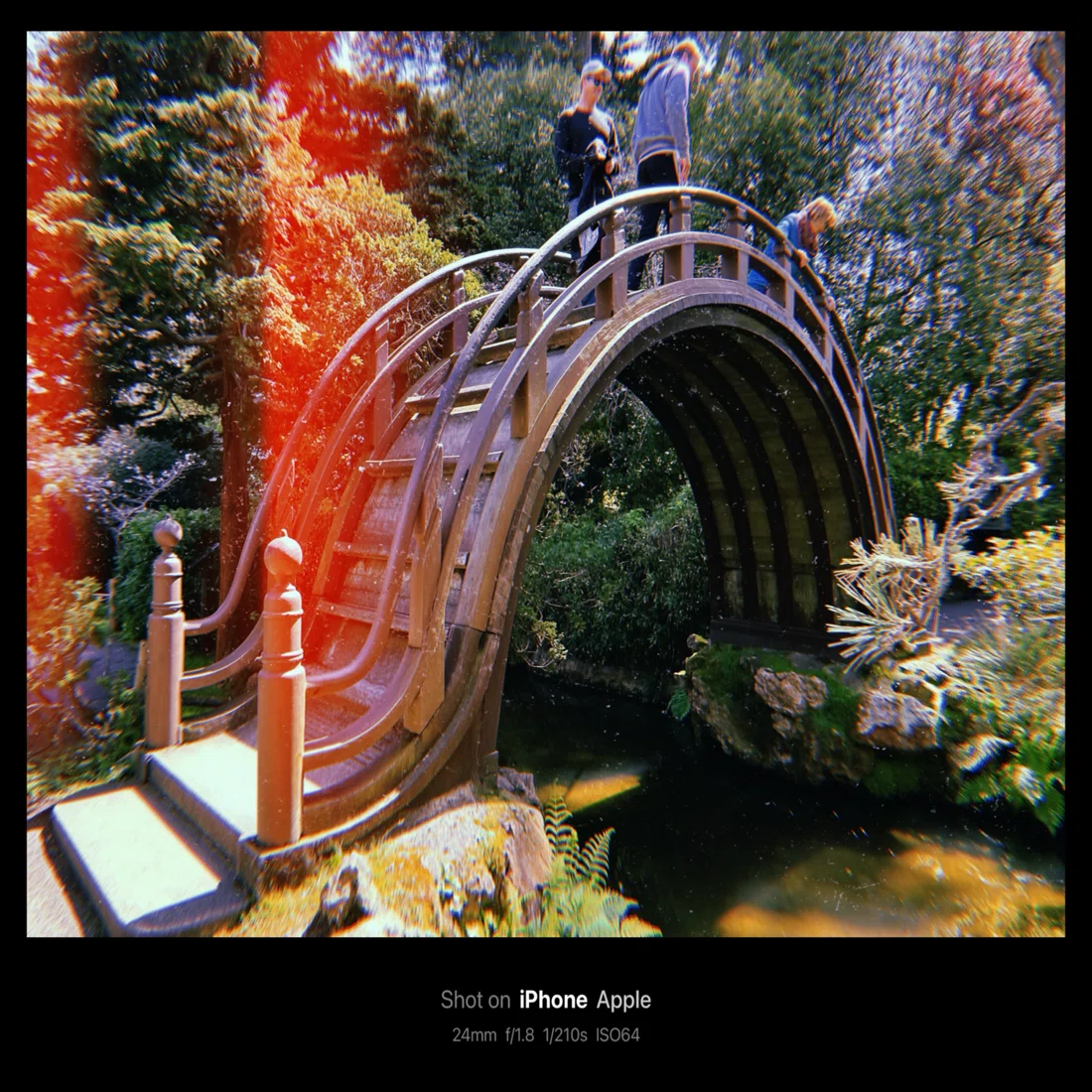 Japanese Tea Garden / 日本茶園(San Francisco, USA)｜N.Hagimoto