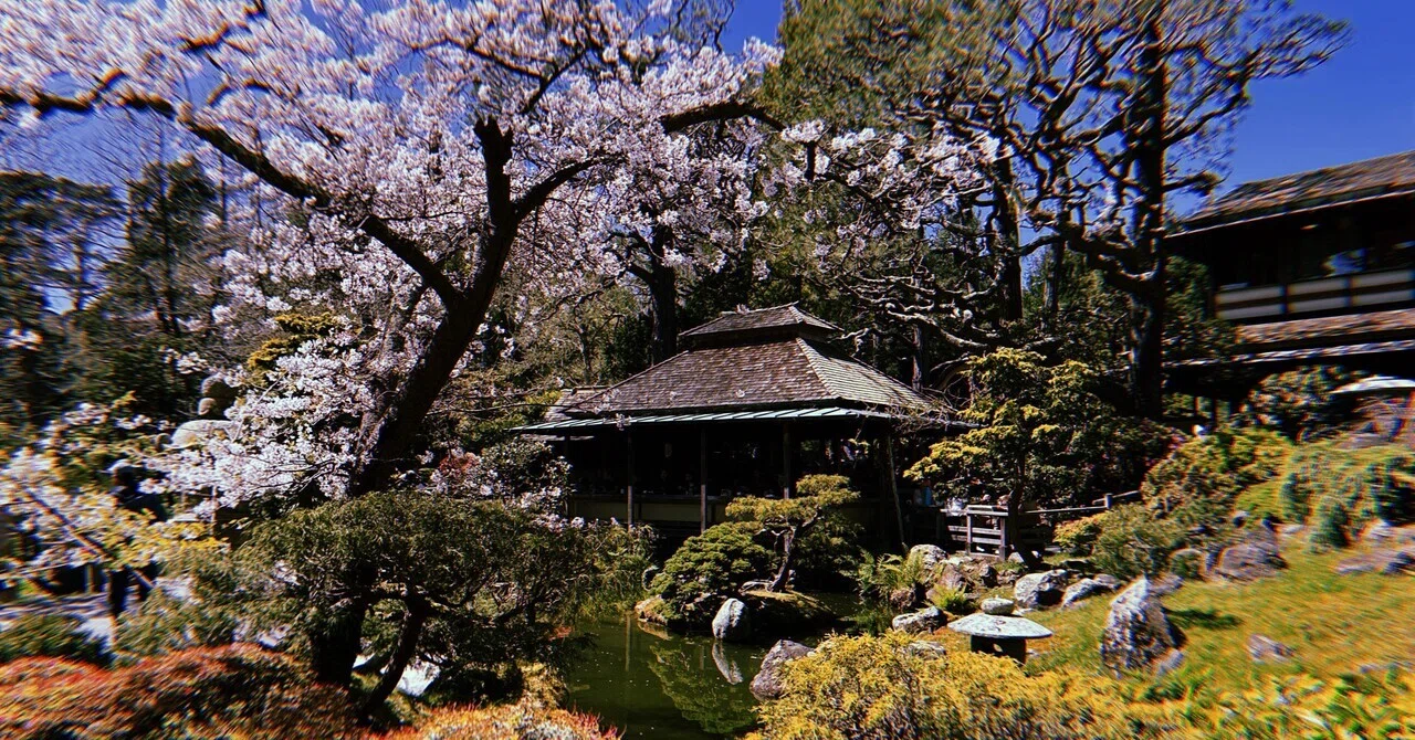 Japanese Tea Garden / 日本茶園(San Francisco, USA)｜N.Hagimoto