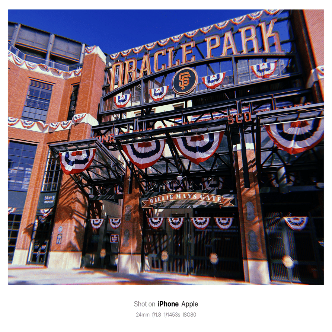 Art and Architecture in San Francisco / 芸術 建築 サンフランシスコ