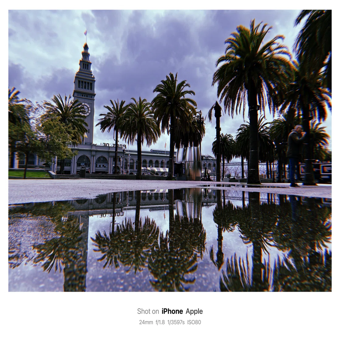 Art and Architecture in San Francisco / 芸術 建築 サンフランシスコ