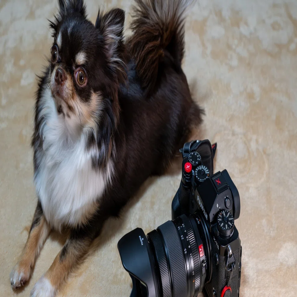 XF16-55mmF2.8 （Ⅱ型）の導入でFUJIFILM カメラの使い方が変わってき