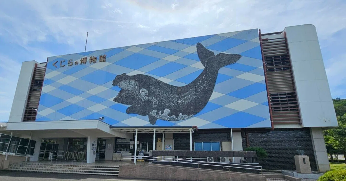 【中古】 生物の出るとこチェツク（’99） 全国自然博物館の旅【57】太地町立くじらの博物館｜美原さつき