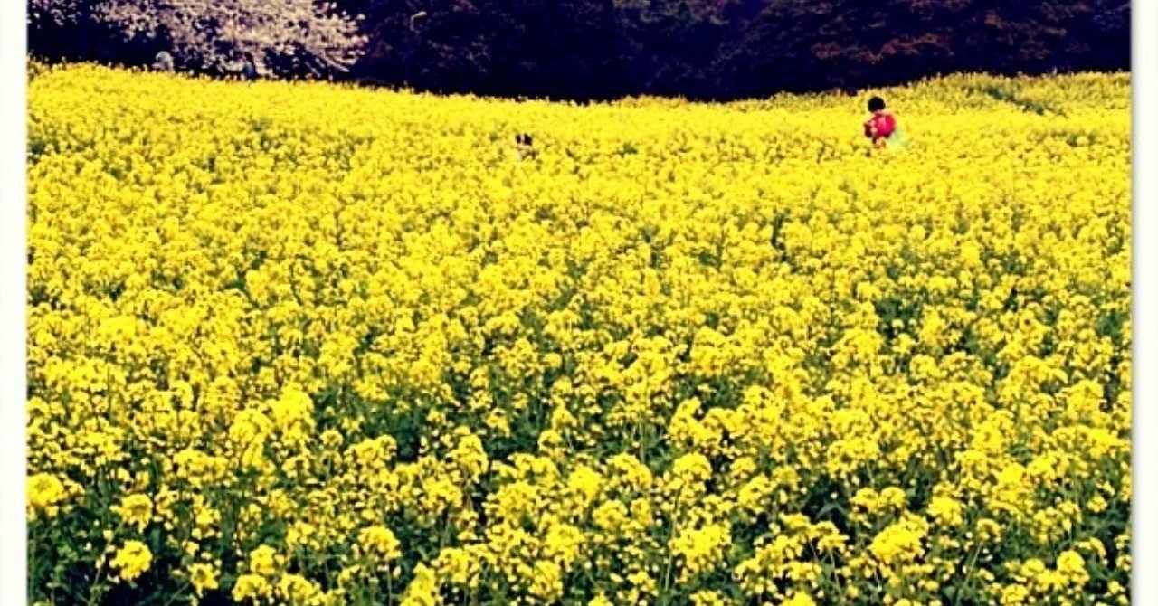 名言との対話 戦後編 1月2日 檀一雄 お前たちの前途が どうぞ多難でありますように 多難であればあるほど 実りは大きいのだから 久恒 啓一 Note