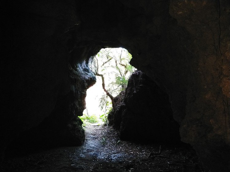 昨日は大野山林を散策。途中にある龍の家こと、棚原洞へ潜り込んだ。
琉球石灰岩の岩盤に開いた小さな鍾乳洞。
古い時代の象の化石とかが出土した場所でもある。