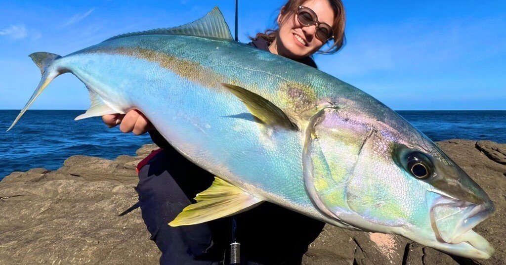 c47a0d5402ad17894201621c2e11be