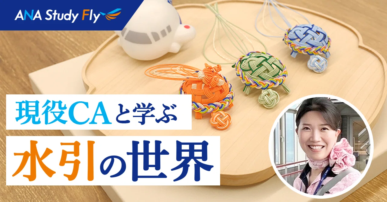 ANA現役CAと学ぶ！日本の伝統文化「水引」の世界！｜ANA Study Fly【公式】
