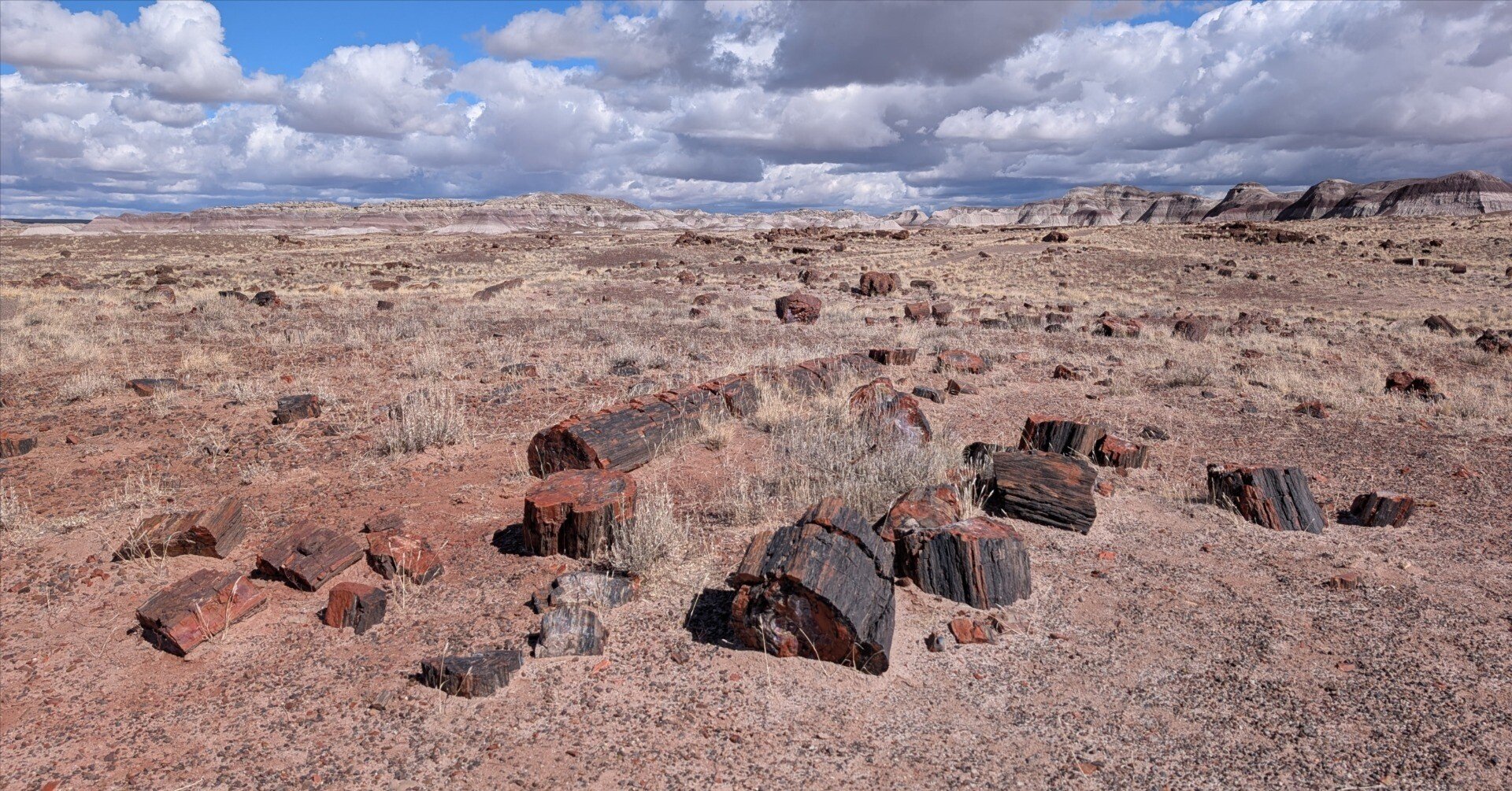 de63f1245eb0305cd87ec59d9f1b9a