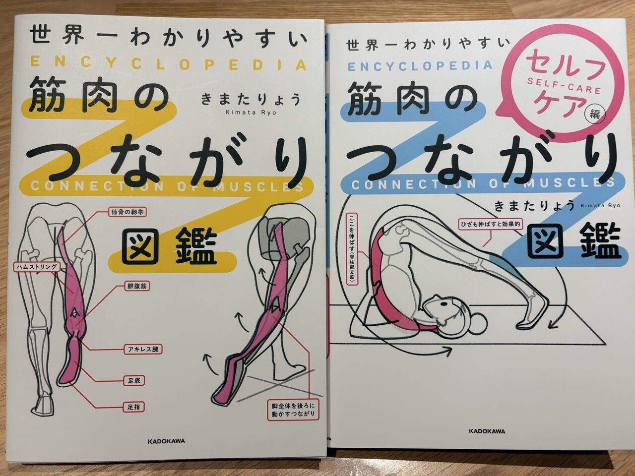 読書)世界一わかりやすい筋肉のつながり図鑑｜河越諒