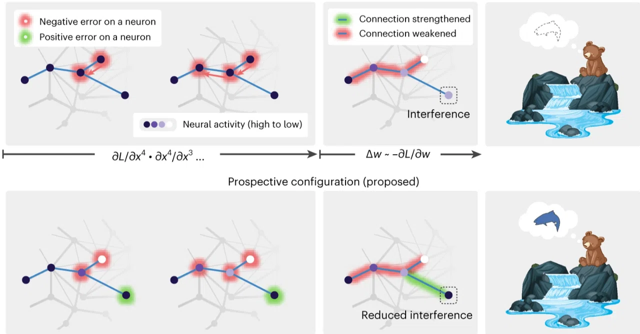 1】AIと読むInferring neural activity before plasticity as a foundation for ...