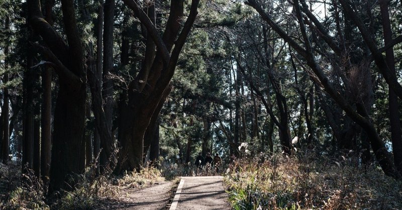 山の記録　高尾山〜城山