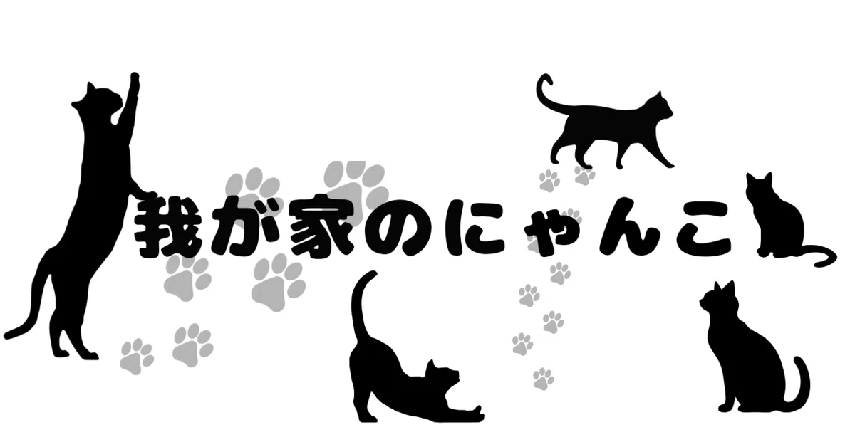 我が家のにゃんこ｜sayakapm0329