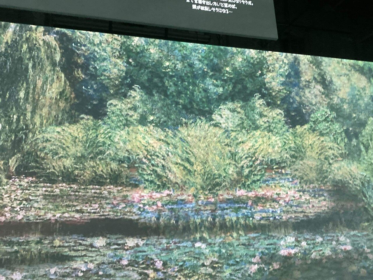 モネ&フレンズ アライブに行ってきました！｜you