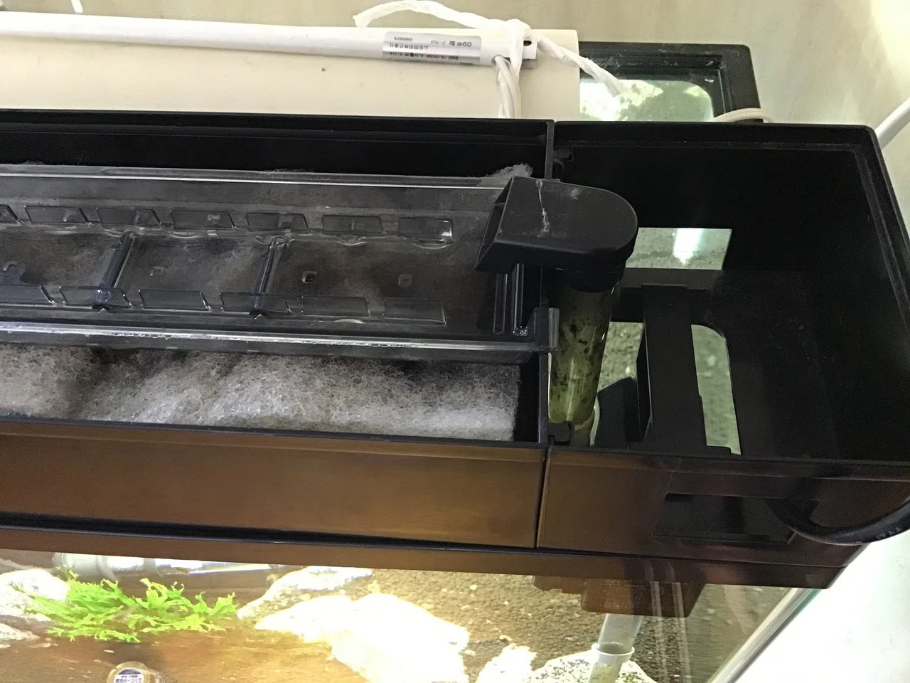 ウェット ドライ メイン水槽に 設置 ゆーいちの水槽部屋 Note