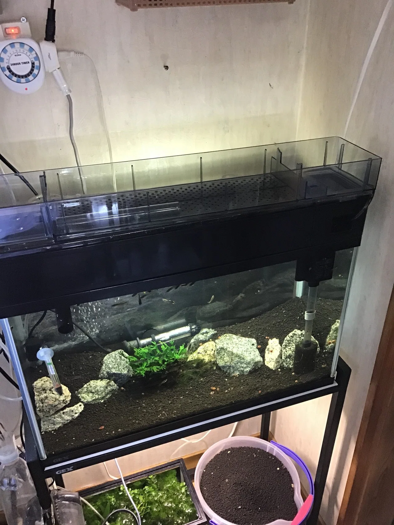 ウェット ドライ メイン水槽に 設置 ゆーいちの水槽部屋 Note