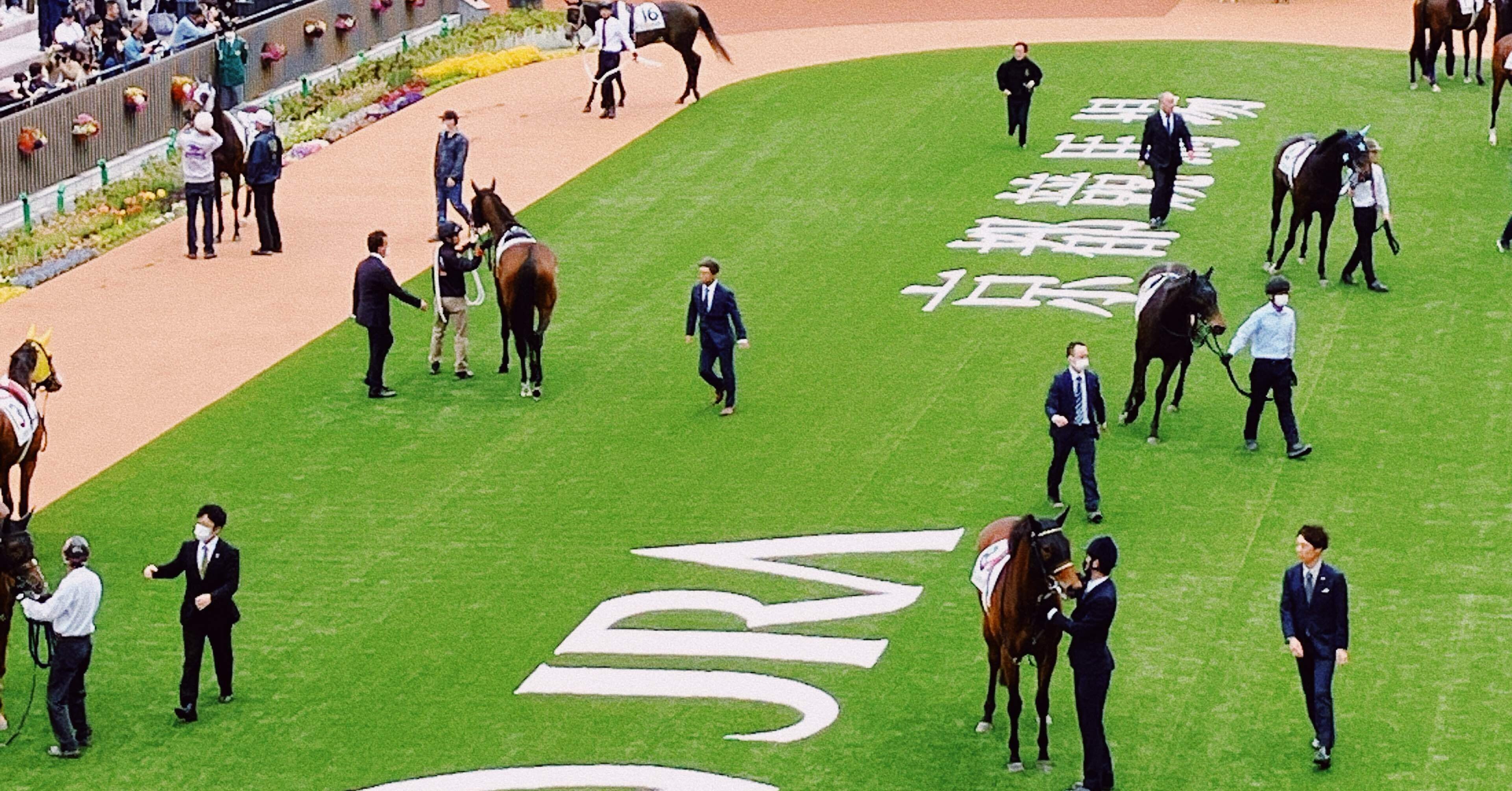 ファウストラーゼン 2025皐月賞 応援単勝馬券【カラーコピー】＋