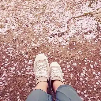 ぴのこ