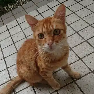 ちひろ