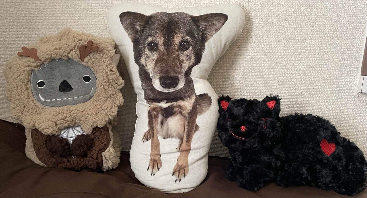 米津玄師 2025 TOUR / JUNK at 京セラドーム大阪 感想｜雨人