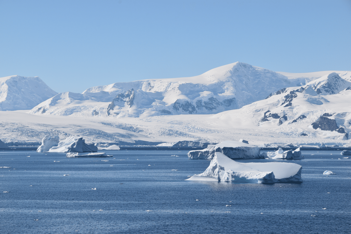 世界一周 day311【南極編②🇦🇶 遂に南極に上陸！】~世界一周新婚旅行~｜TK